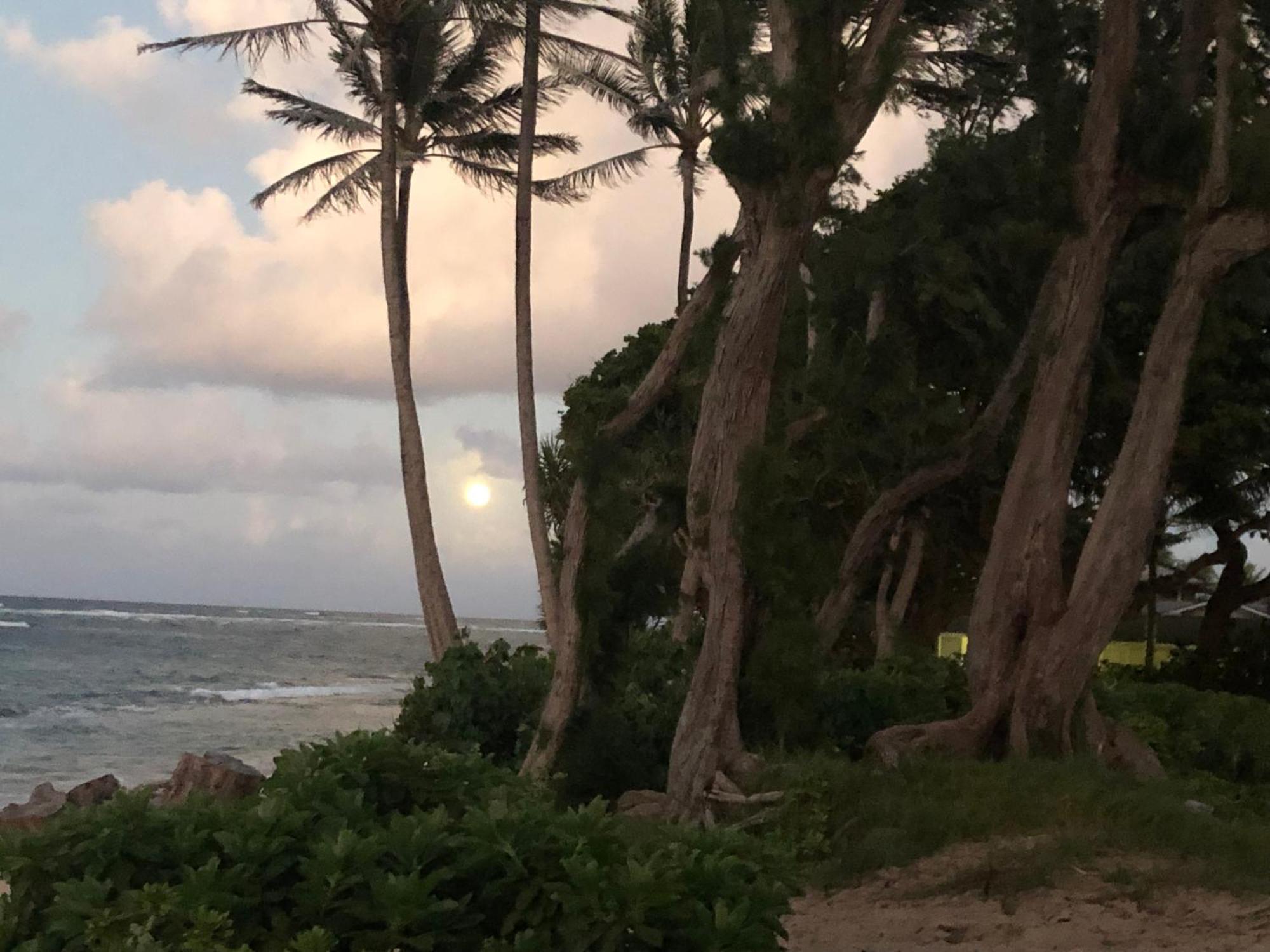 Tropical Treasure On A White Sandy Beach Villa Laie Bagian luar foto